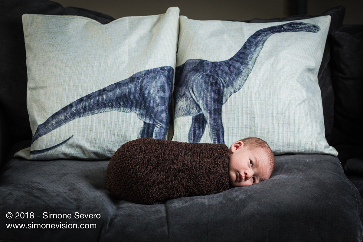colorado springs photographer -6460.jpg