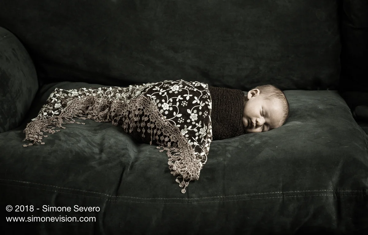 colorado springs photographer -6478-2.jpg