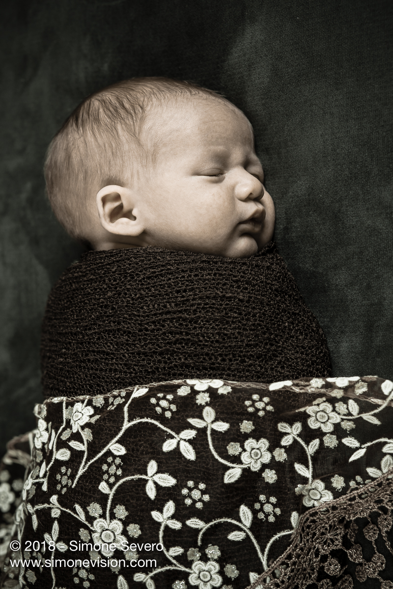 colorado springs photographer -6480.jpg