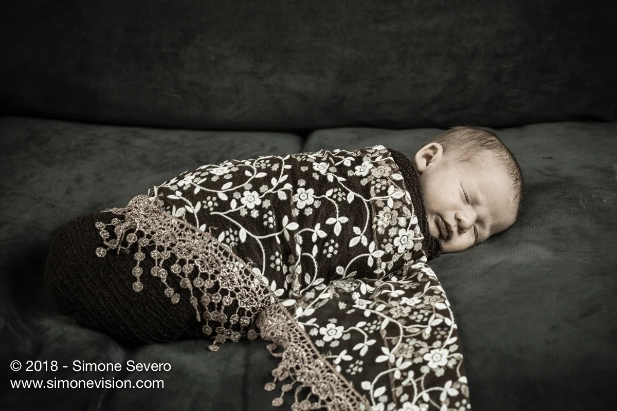 colorado springs photographer -6488.jpg