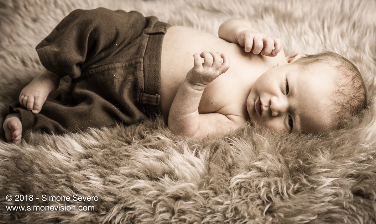 colorado springs photographer -6564.jpg