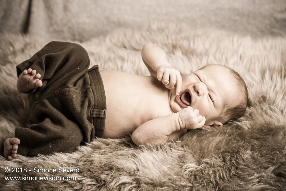 colorado springs photographer -6568.jpg