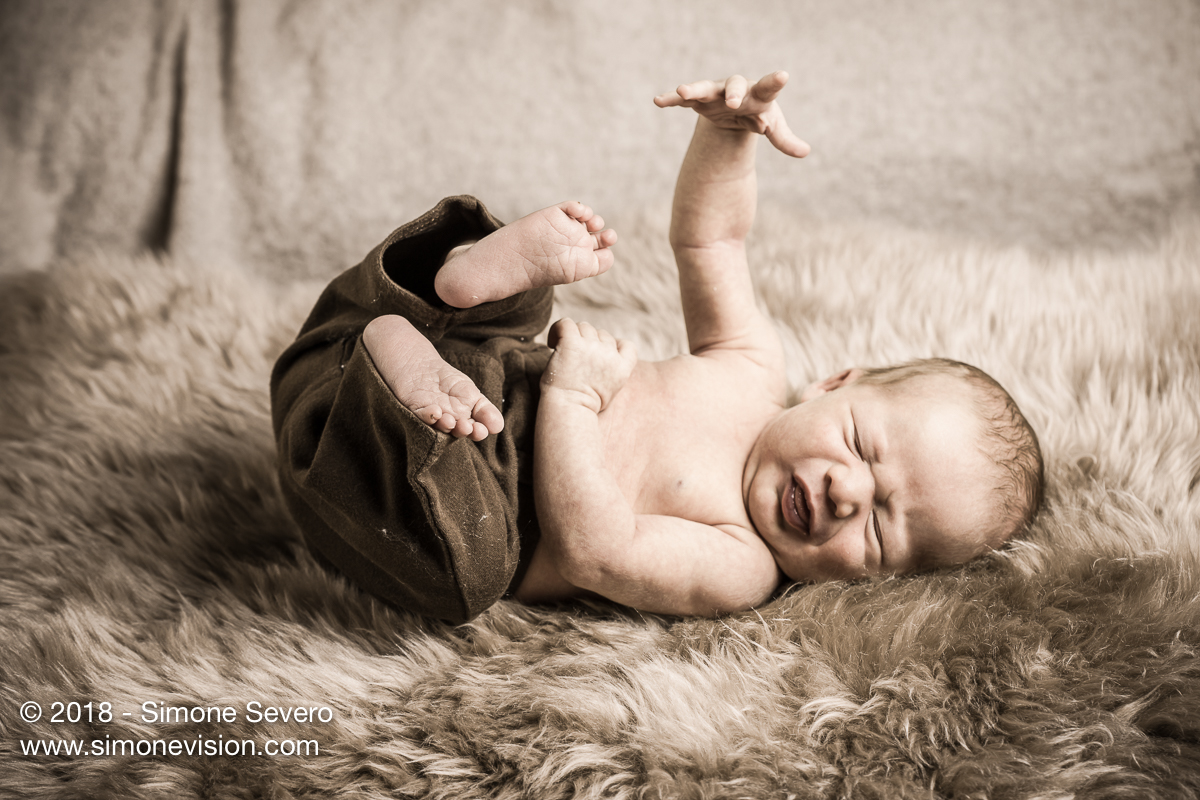 colorado springs photographer -6572.jpg