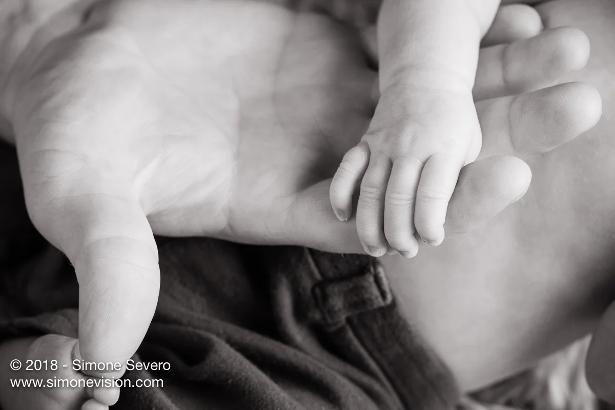 colorado springs photographer -6584.jpg