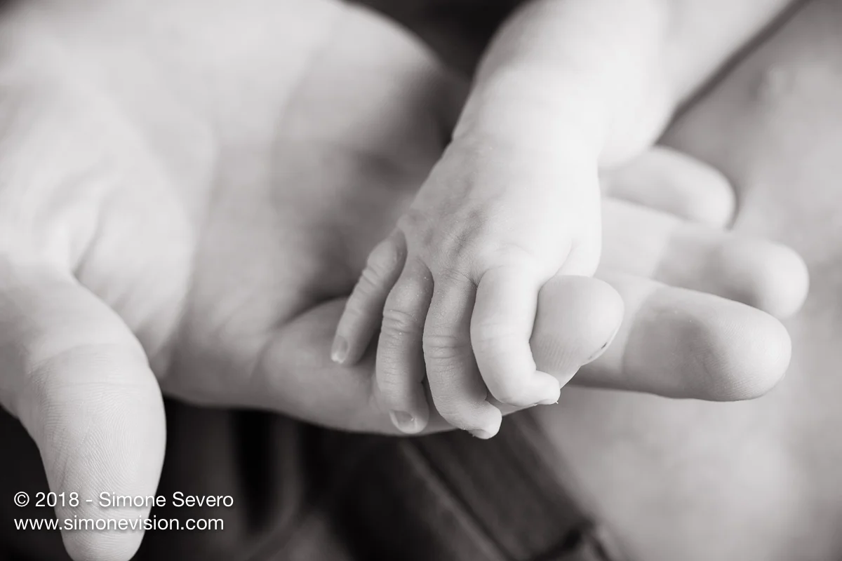 colorado springs photographer -6585.jpg