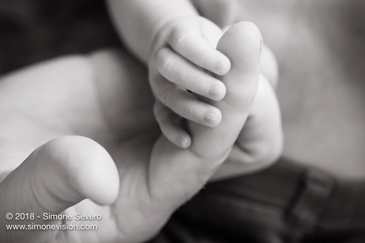 colorado springs photographer -6586.jpg