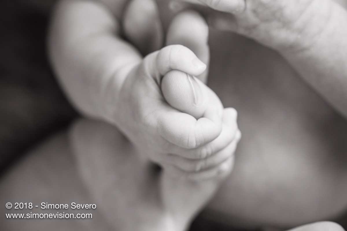 colorado springs photographer -6587.jpg