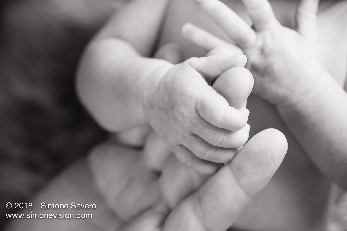 colorado springs photographer -6588.jpg