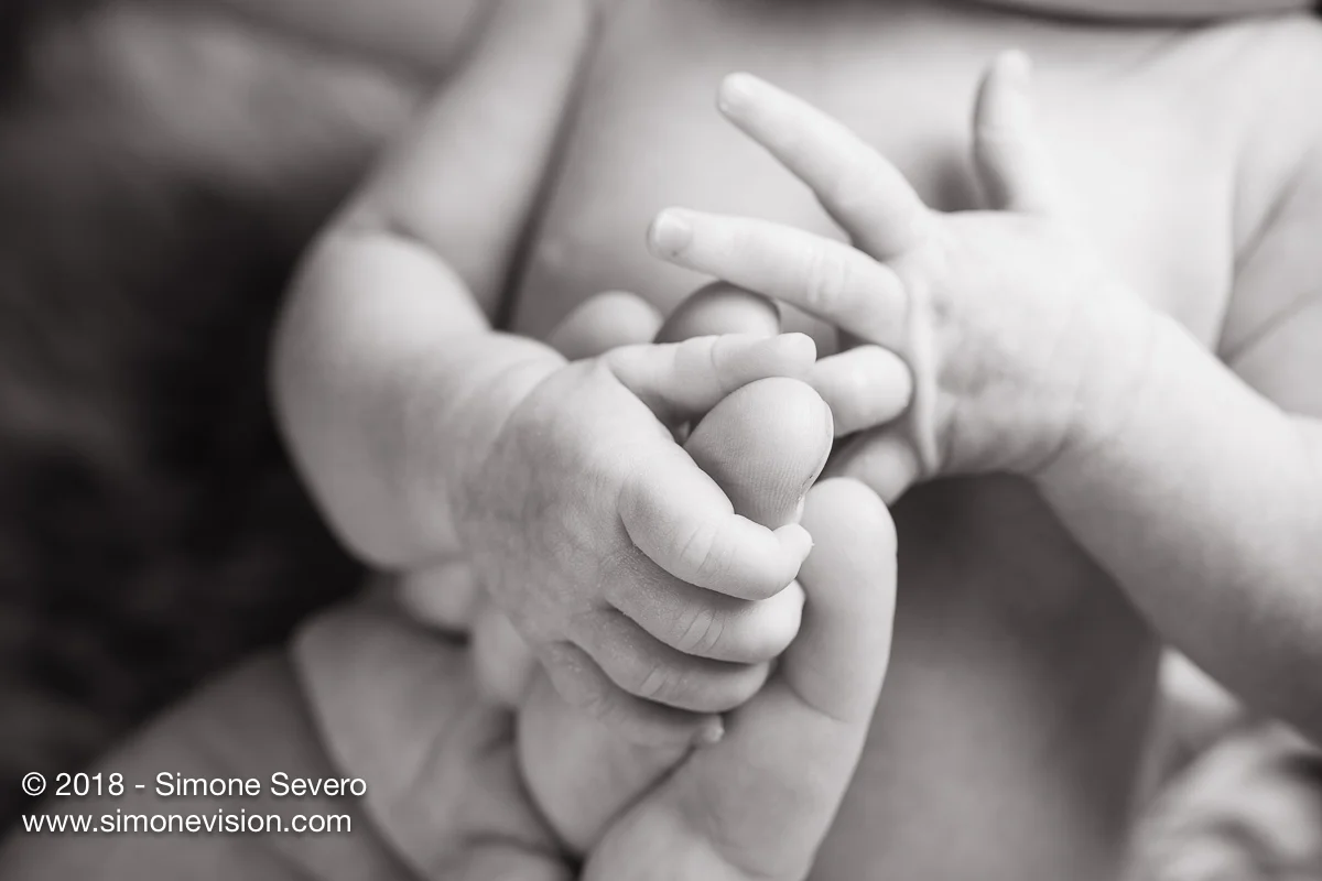 colorado springs photographer -6589.jpg