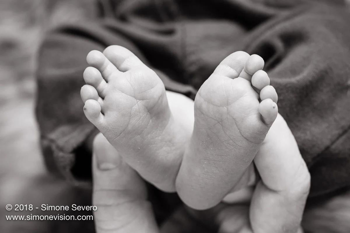 colorado springs photographer -6590.jpg