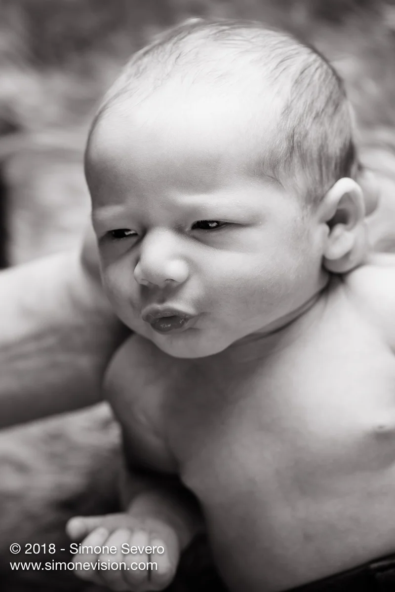colorado springs photographer -6598.jpg
