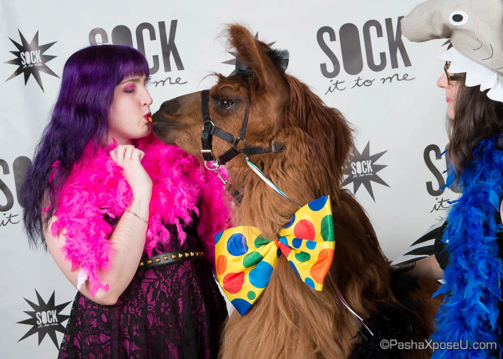 Socks-29.jpg