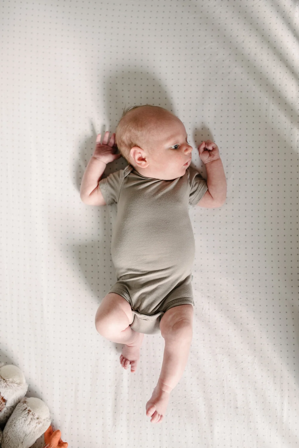 newborn-lifestyle-photography-fort-collins.jpg