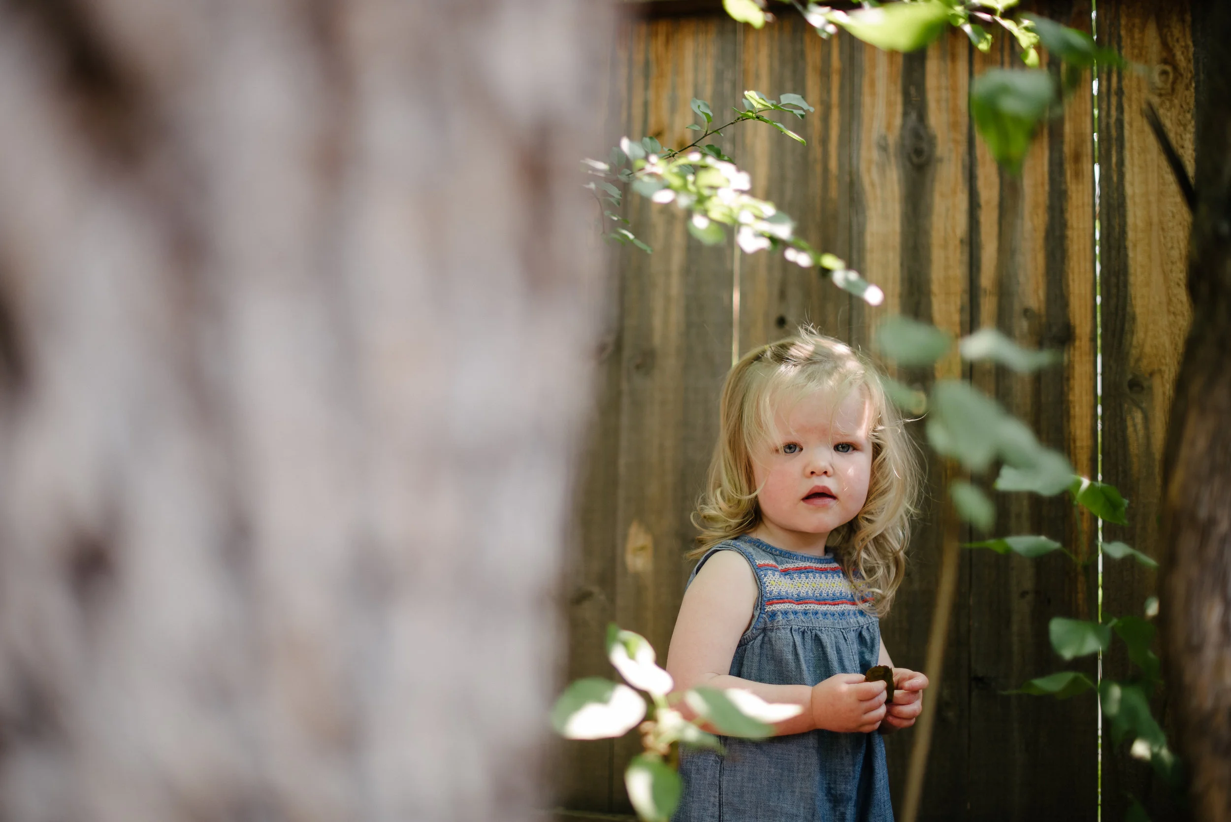 Juniper-35.jpg