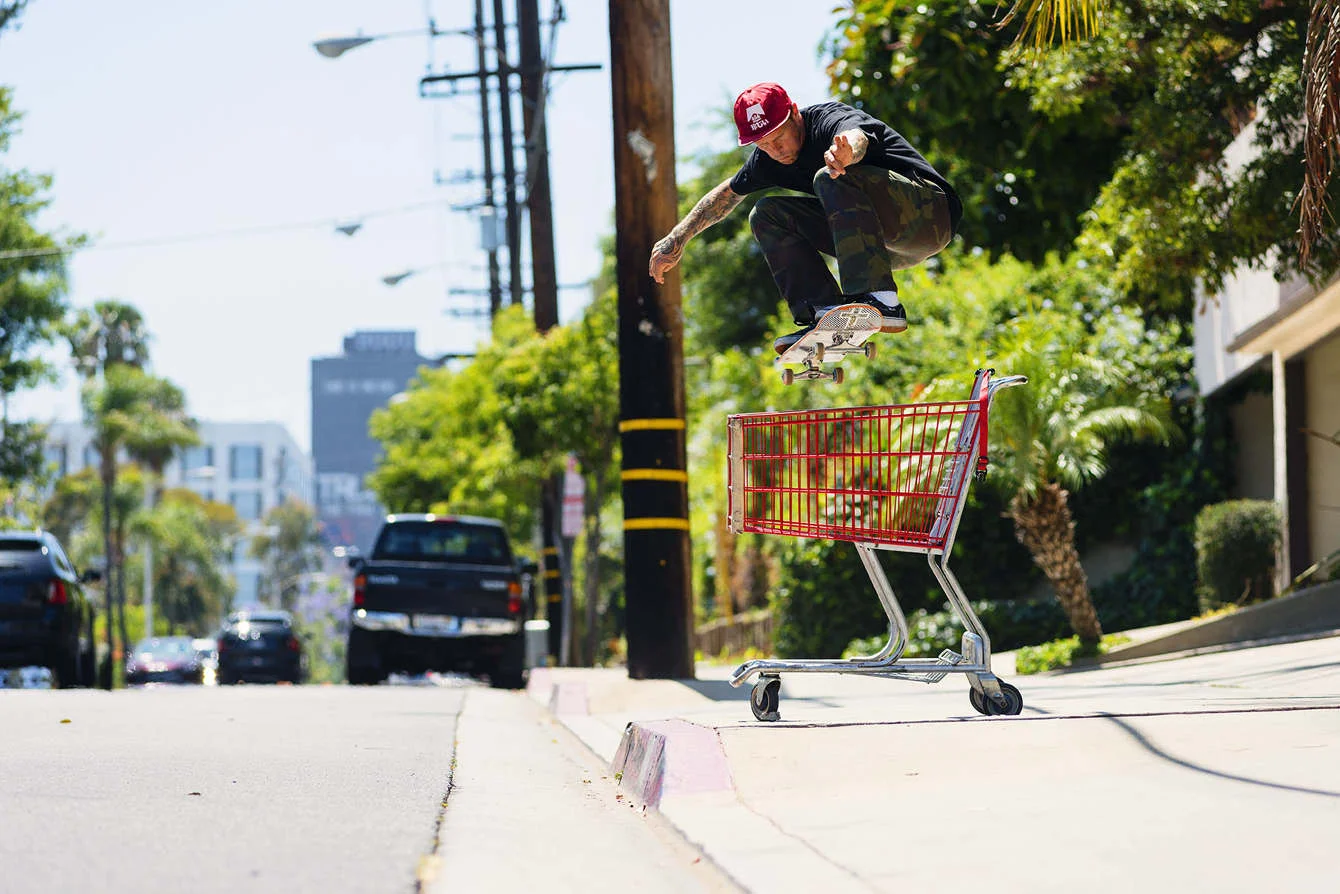 AVE_ollie_san_vicente1_Colen_1340_c.jpg