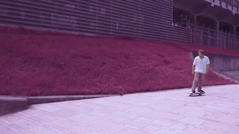 giphy (2).gif