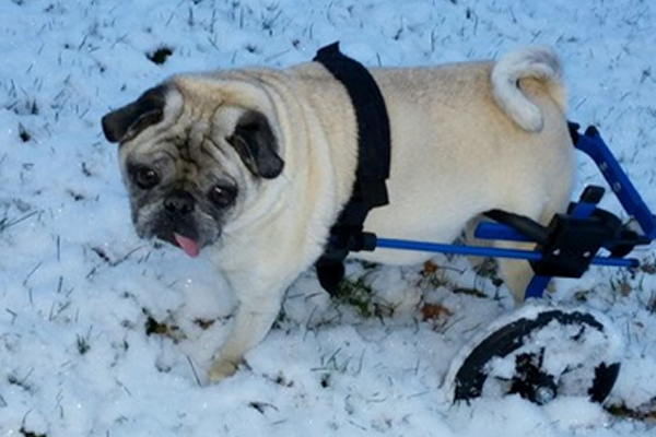 Phoebe Began sponsoring: Jan 2015 - Supplies/Equipment