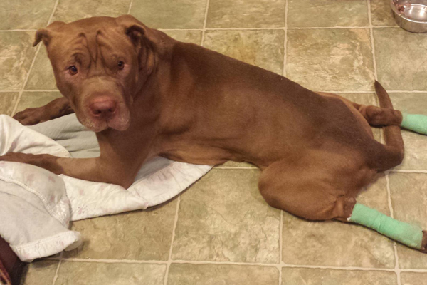 Sonny Began sponsoring: Oct 2015 - Supplies/Equipment