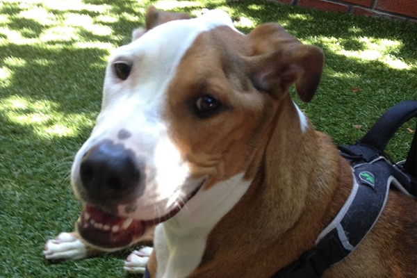 Lola Began sponsoring: March 2016 - Rehabilitation Care - Supplies/Equipment