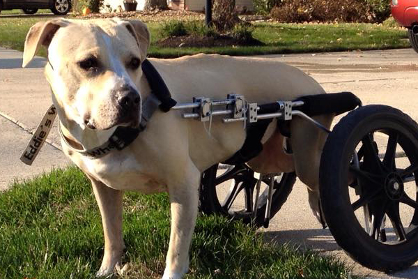 Greta Began sponsoring: Oct 2015 - Supplies/Equipment