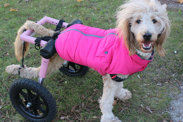 Lucy Began sponsoring: May 2016 - Supplies/Equipment