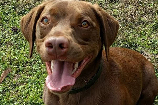 Thor Began sponsoring: Sept 2017 - Rehabilitation Care