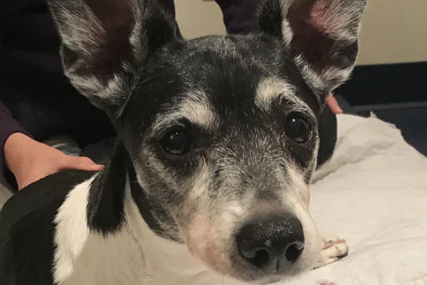 Toby Began sponsoring: Oct 2017 - Supplies/Equipment - Rehabilitation Care