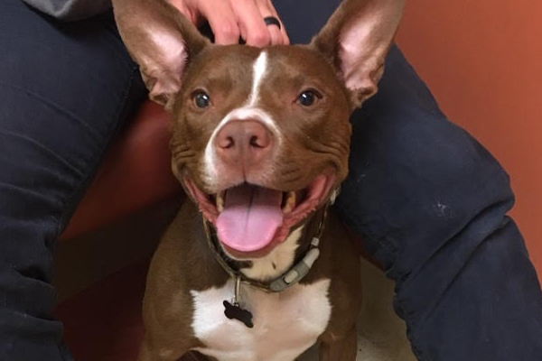 Penelope Began sponsoring: Oct 2017 - Rehabilitation Care