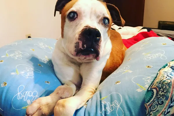 Rosie Began sponsoring: Feb 2018 - Rehabilitation Care