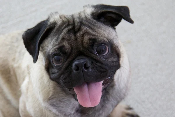 Jack Began sponsoring: June 2018 - Rehabilitation Care - Supplies/Equipment
