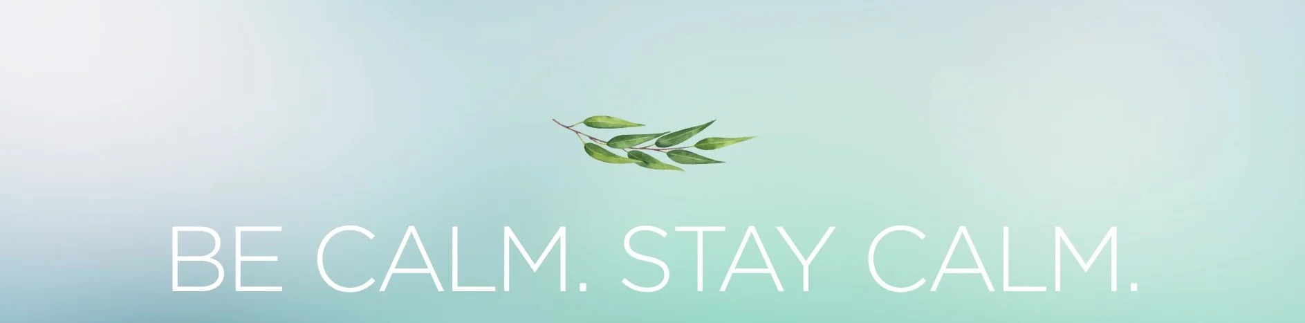 header.jpg
