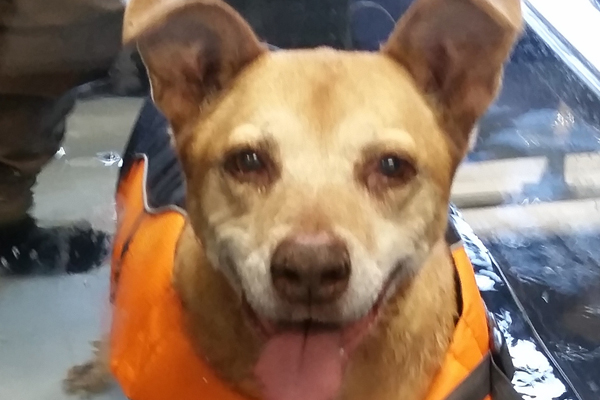 Turbo Began sponsoring: Nov 2018 - Rehabilitation Care