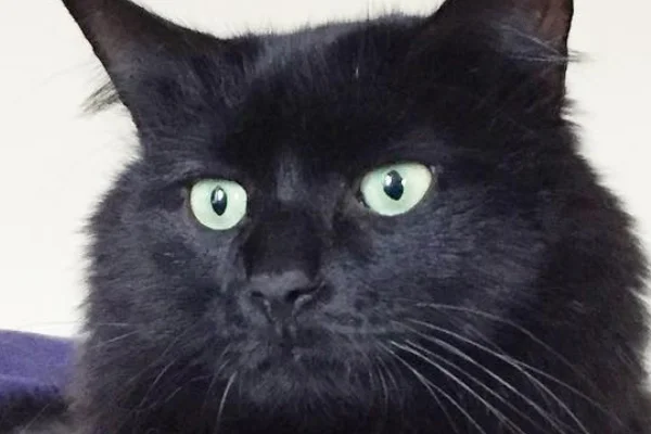 Finn Began sponsoring: Nov 2018 - Rehabilitation Care - Supplies/Equipment