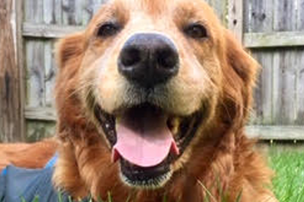 Sampson Began sponsoring: Dec 2018 - Supplies/Equipment - Rehabilitation Care