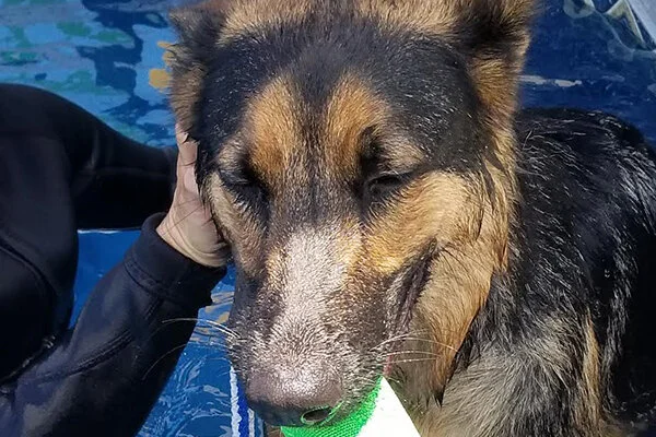 Hudson Began sponsoring: May 2019 - Rehabilitation Care