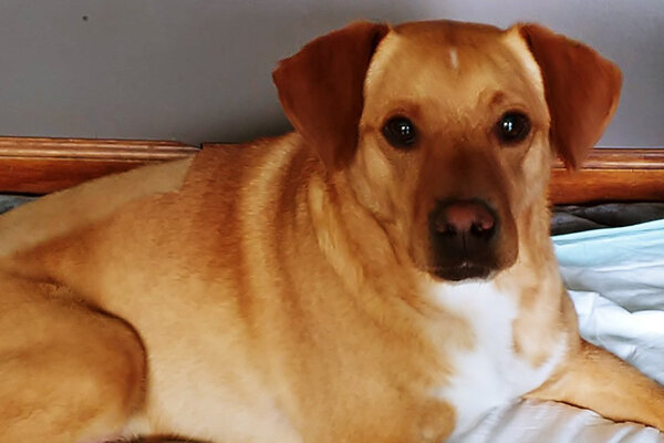 Cooper Began sponsoring: June 2019 - Rehabilitation Care - Supplies/Equipment