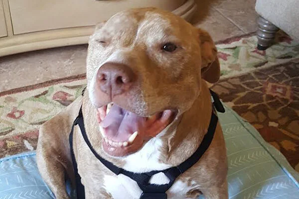 Cinnamon Began sponsoring: June 2019 - Supplies/Equipment
