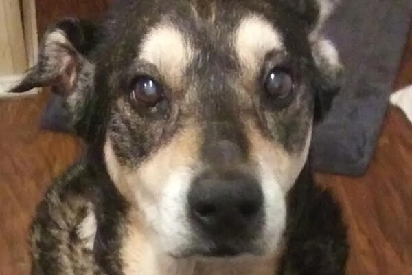 Lil Man Began sponsoring; June 2019 - Supplies/Equipment