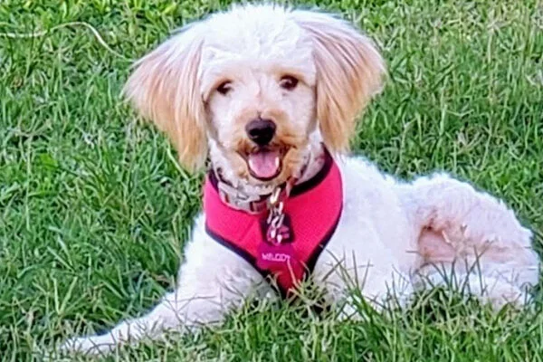 Melody Began sponsoring: September 2019 - Rehabilitation Care - Supplies/Equipment