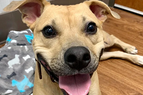 Arthur Began sponsoring: September 2019 - Rehabilitation Care - Supplies/Equipment