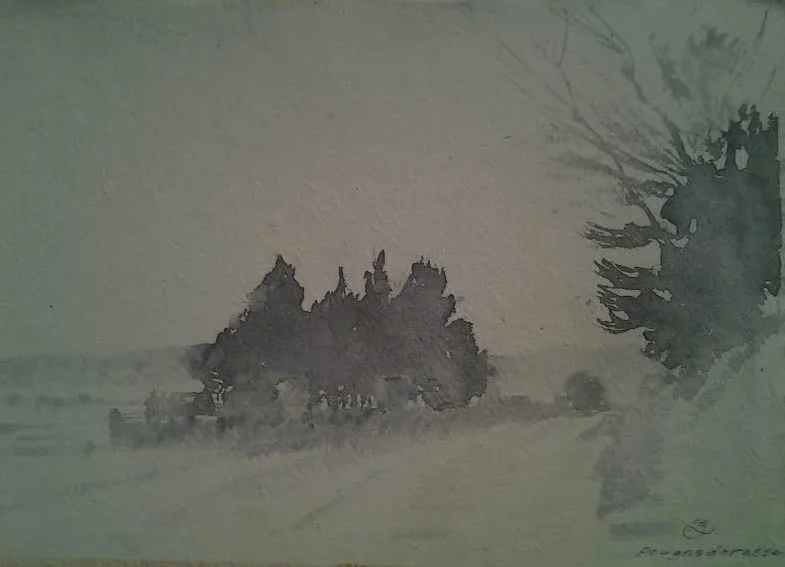 French Misty Field