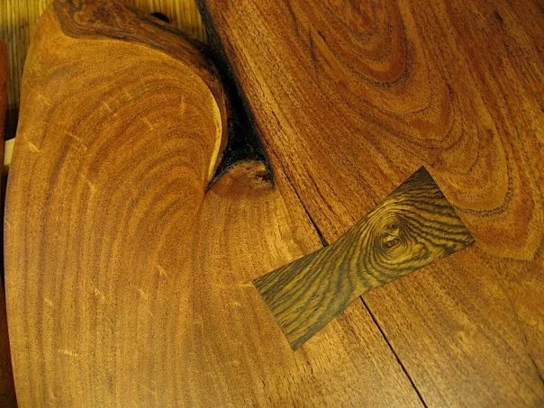 temple ranch mesquite detail.jpg