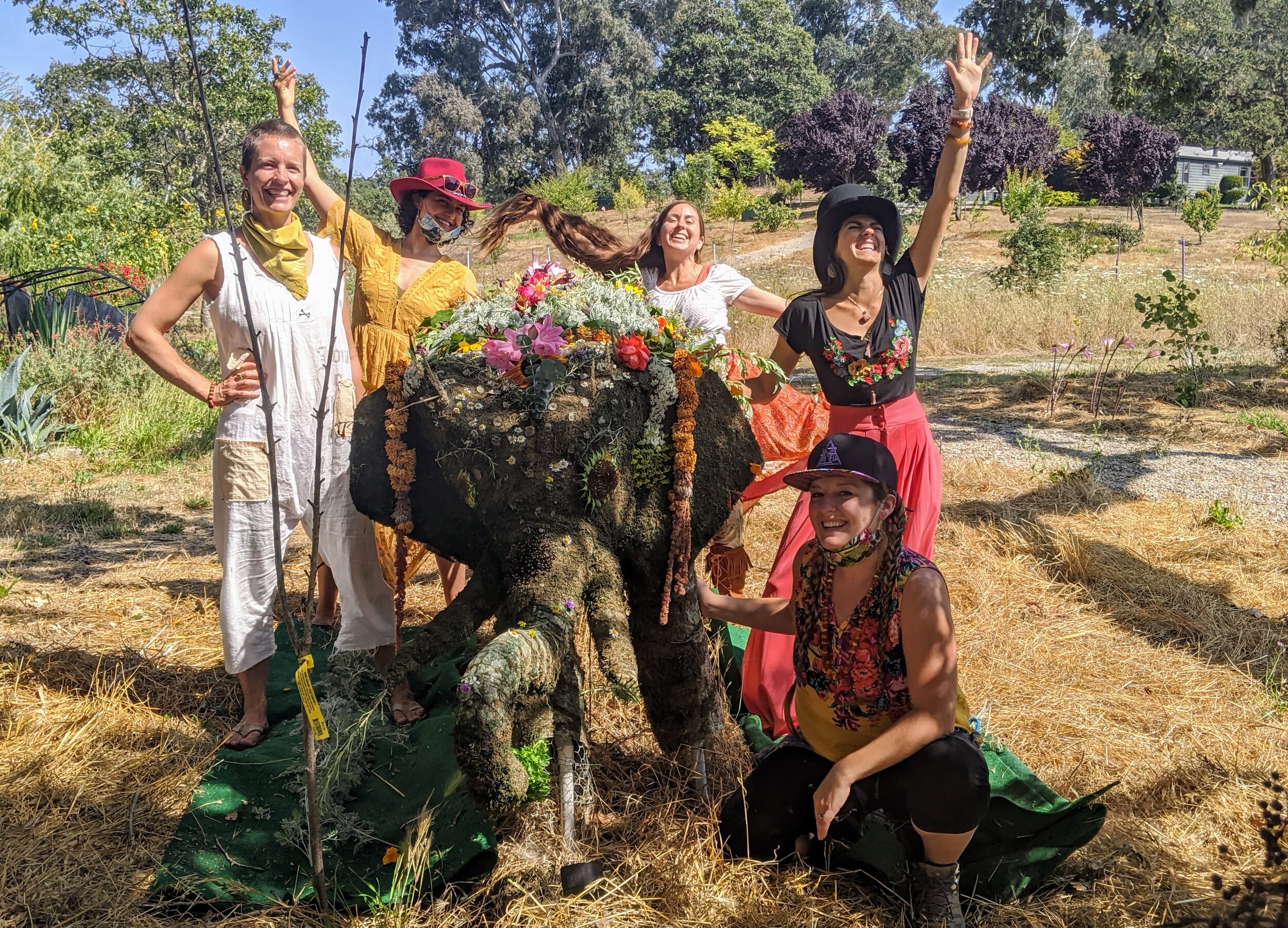 CS- Elephant beauty.jpg