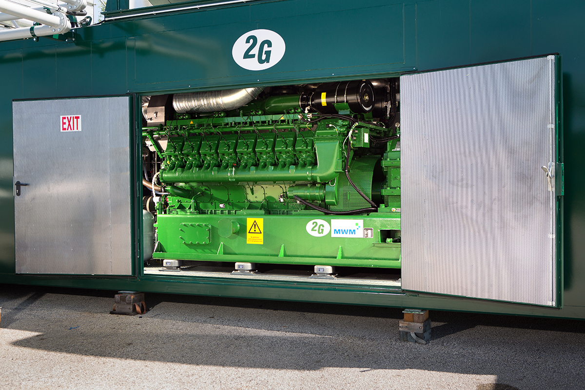 CHP Feasibility Studies