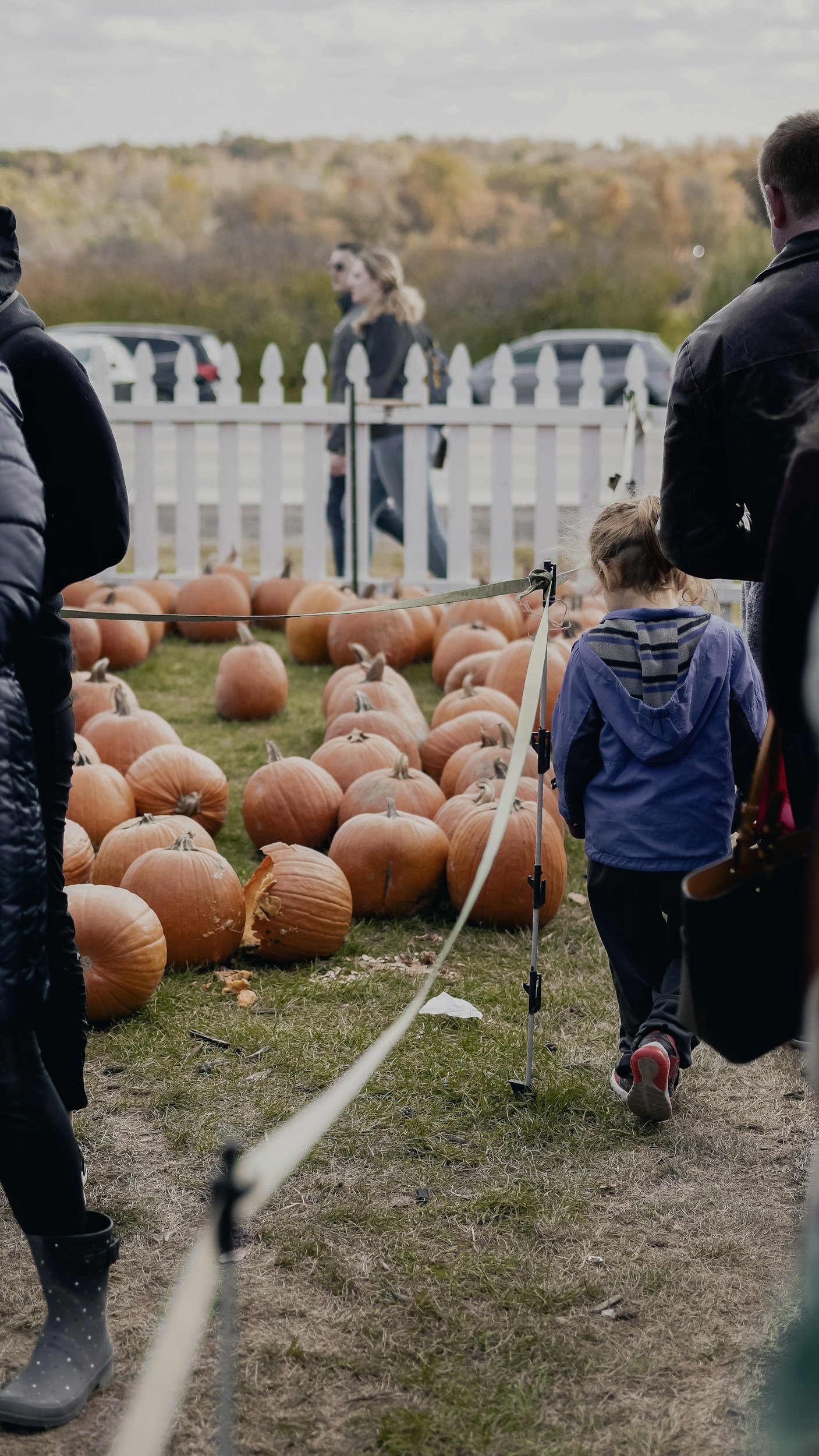 Fall Festival