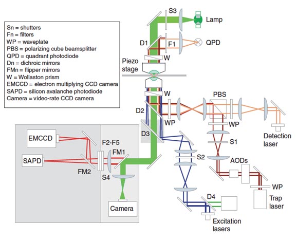 OpticsDiagram.jpeg