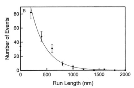 KinesinRunLengths.jpeg