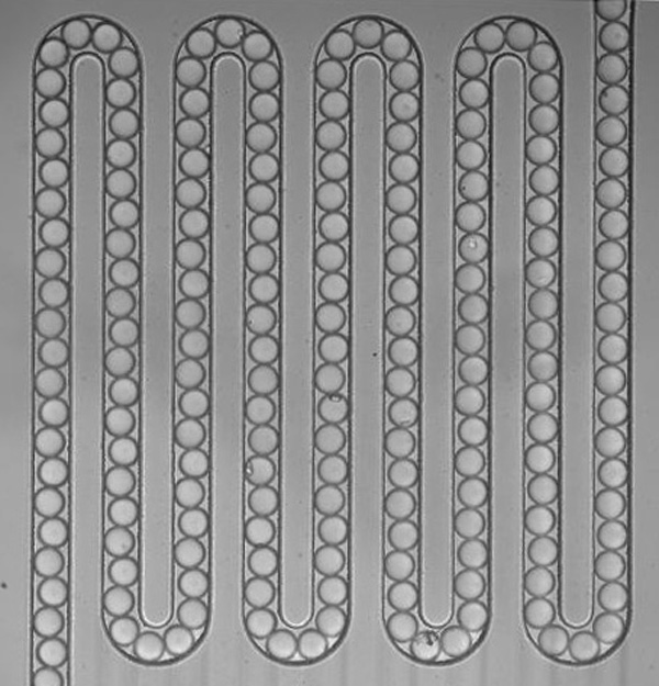   Programmable microfluidic synthesis of spectrally encoded microspheres.&nbsp; Gerver, R.E.*, Gomez-Sjoberg, R.*, Baxter, B.C.*, Thorn, K.S.*,  Fordyce, P.M.* , Diaz-Botia, C.A., Helms, B.A., &amp; DeRisi, J.L.&nbsp; Lab on a Chip  (2012). (* denote