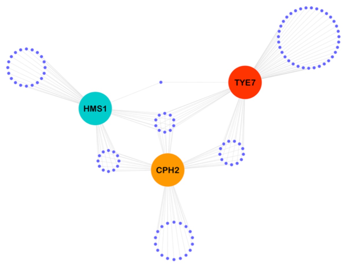   Diversification of DNA binding specificities enabled SREBP transcription regulators to expand the repertoire of cellular functions that they govern in fungi.    Toledo, V. D. O., Puccinelli, R.,  Fordyce, P.M.,  and Perez, J.C.  PLoS Genetics  ( in