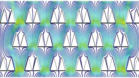   Live imaging of Aiptasia larvae, a model system for coral and anemone bleaching, using a simple microfluidic device   Treuren, W. V.*,  Brower, K. K*. , Labanieh, L., Hunt, D., Lensch, S.,  Cruz, B ., Cartwright, H. N., Tran, C.,  Fordyce, P. M.   